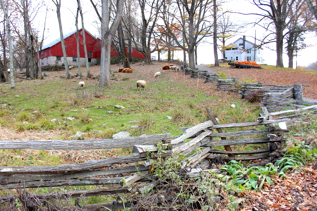 Pomperaug Outdoor Painters