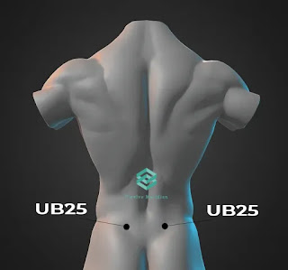 6 Best Acupressure points for quick relief from Constipation | Twelve Meridian ub25-acupressure-point-for-constipation