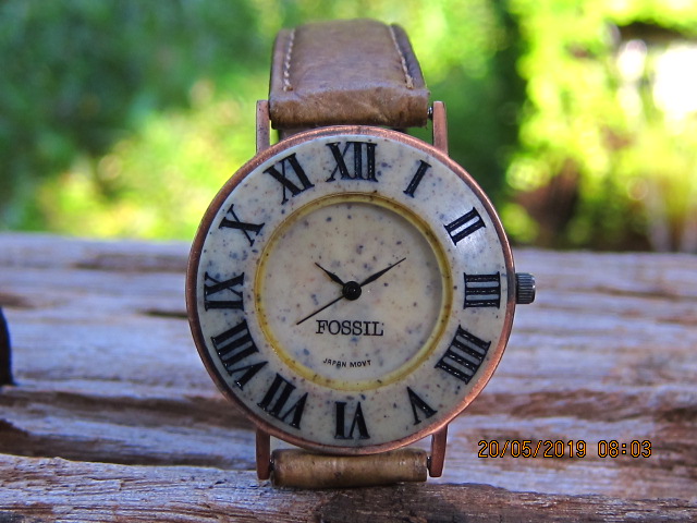 jam & watch: Fossil (Sold)