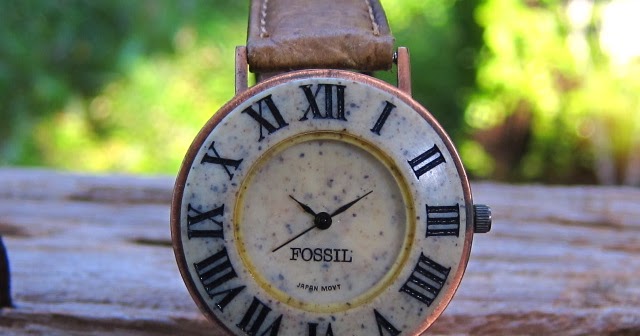 jam & watch: Fossil (Sold)