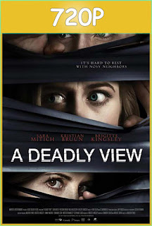 A Deadly View (2018) HD 720p Latino 