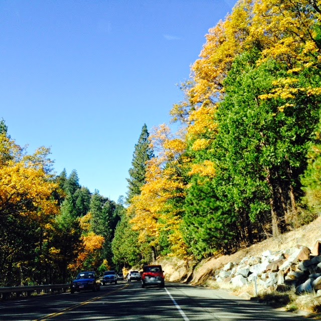 Les Taylor's sometimesdaily thoughts Weekend Trip to Apple Hill in