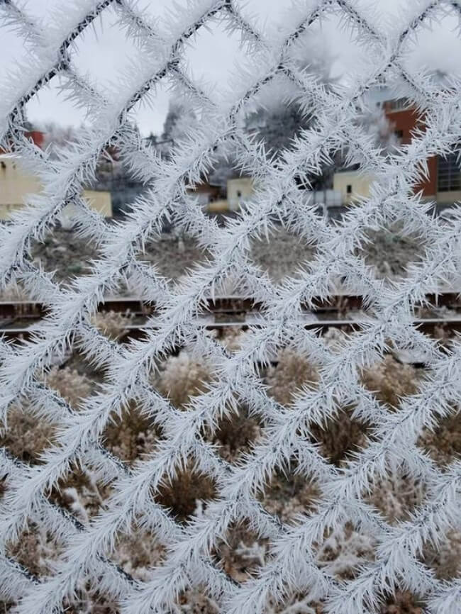 18 Extraordinary Pictures: Filters Fade in Front of Nature’s Magnificence - Freezing 18 Extraordinary Pictures: Filters Fade in Front of Nature’s Magnificence - Freezing