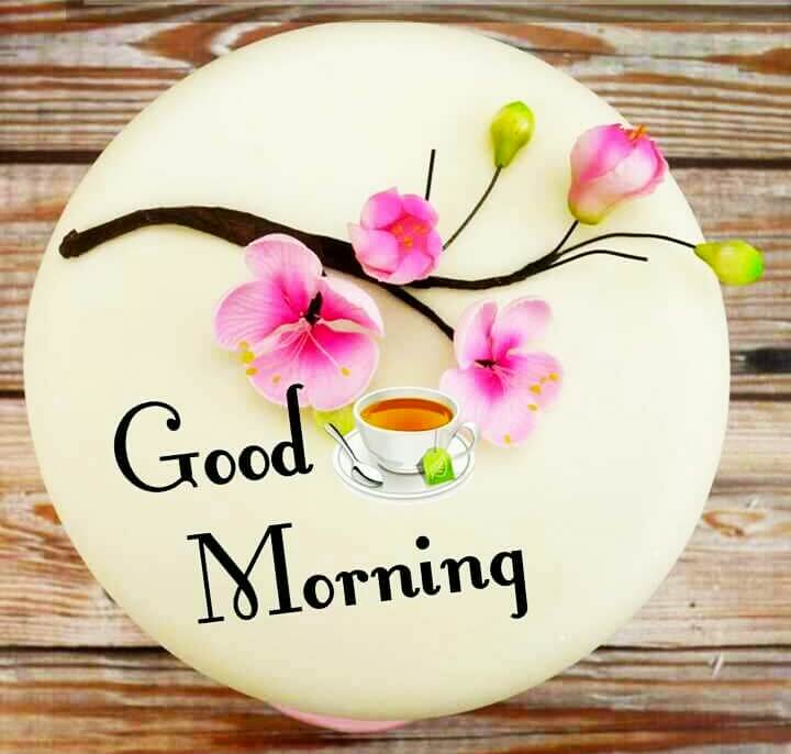 Best 60+ Good Morning Images For Whatsapp Good Morning Images For
