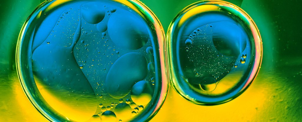 Scientists Created An 'Artificial Leaf' That Produces Clean Synthetic Fuel By Using Sunlight Scientists Created An 'Artificial Leaf' That Produces Clean Synthetic Fuel By Using Sunlight