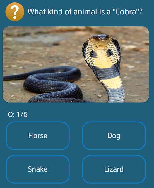 What kind of animal is a ''Cobra''?