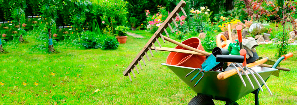 Cualidades de un buen jardinero