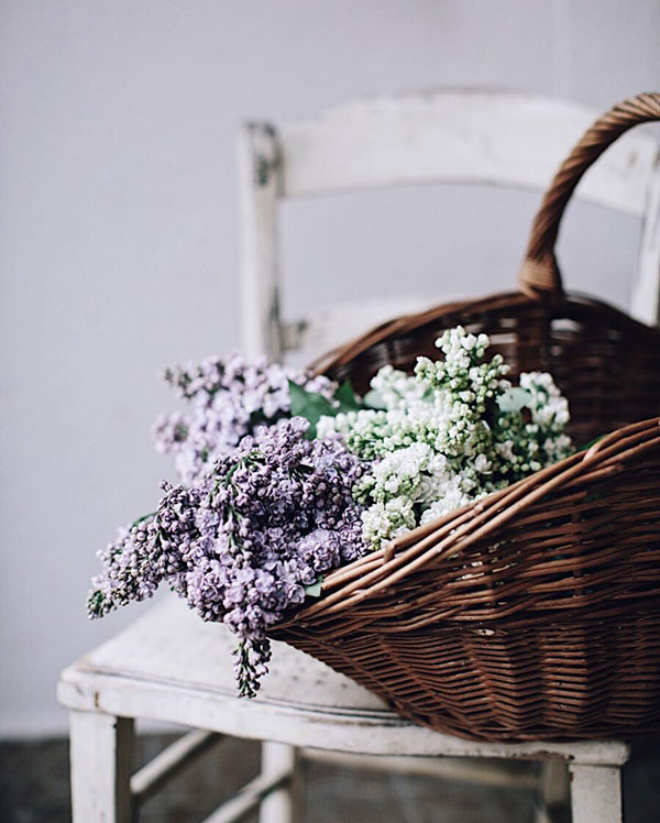 Favourite Things: Late-Spring Lilacs