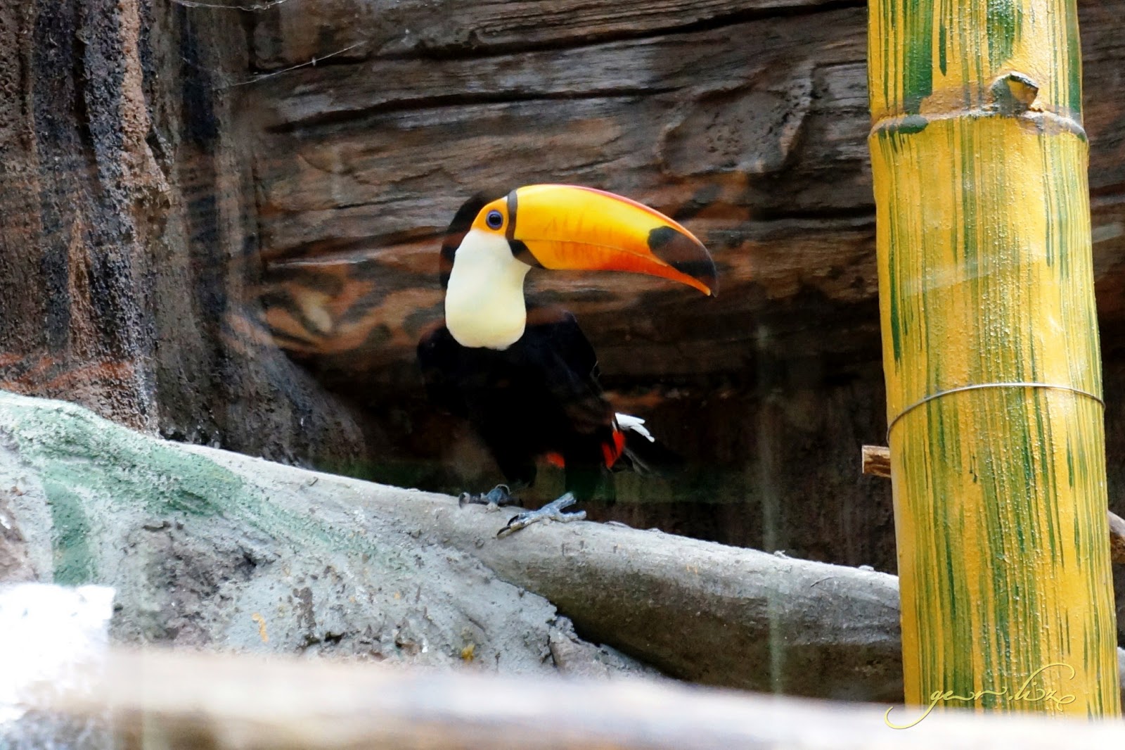 Avilon Zoo Day tour with my nephews Trips... by Liz