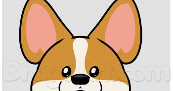 Bộ Sưu Tập hình nền corgi dễ thương Cực Chất Full 4K với hơn 999 tùy chọn