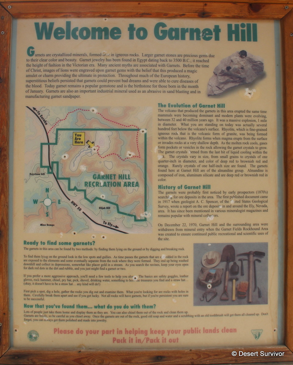 Desert Survivor Searching for