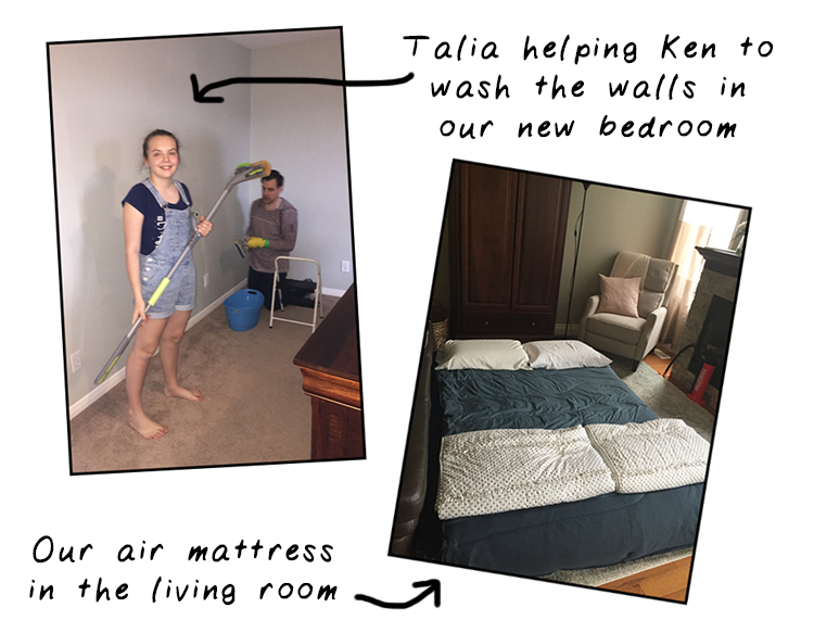 BedinaBox Comparison (Endy vs. Douglas vs. Logan & Cove)