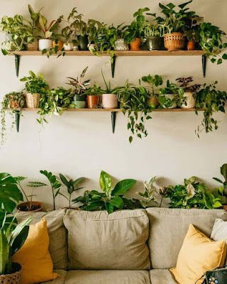 Ideias de decoração simples para aconchegar suas plantas dentro de casa