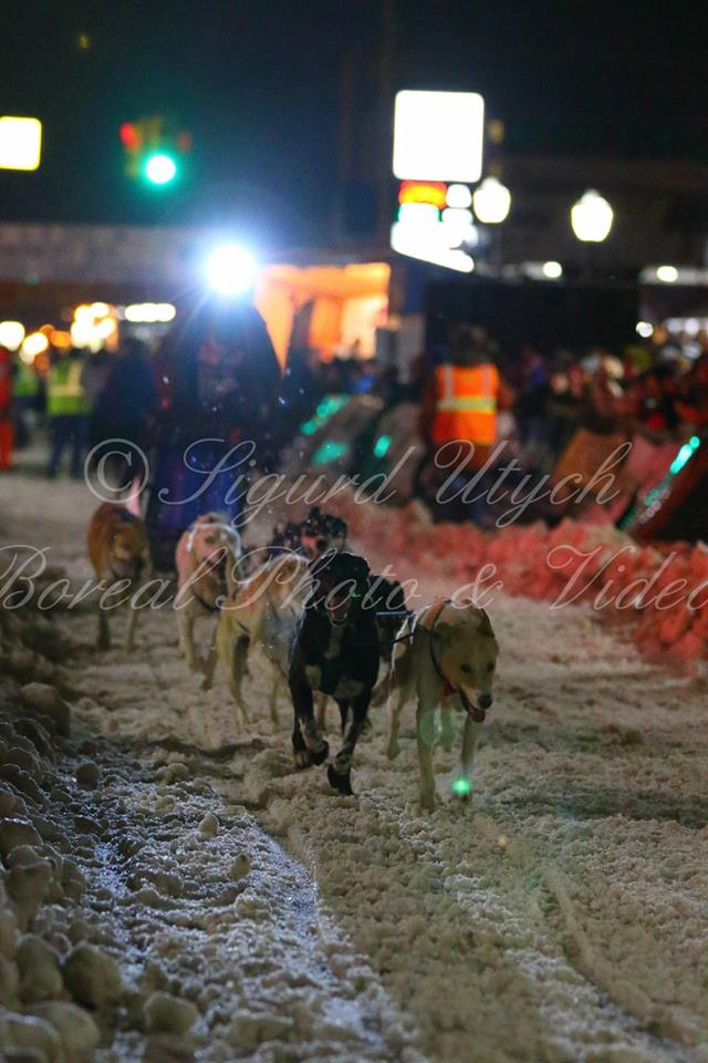 Live the Adventure Midnight Run and Copper Dog 150 Dog Sled Races