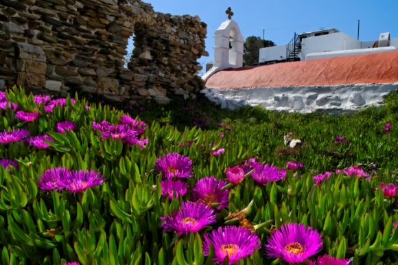 The passion of colors: Photos from Spring in Greece!