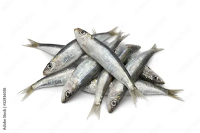सार्डिन(sardines) बालों को तेजी से बढ़ने में मदद करता है:
