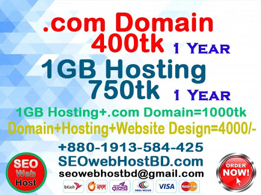 Domain Hosting and web Design company in Bangladesh