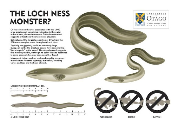 Ness Contains No 'Monster' DNA, Say Scientists
