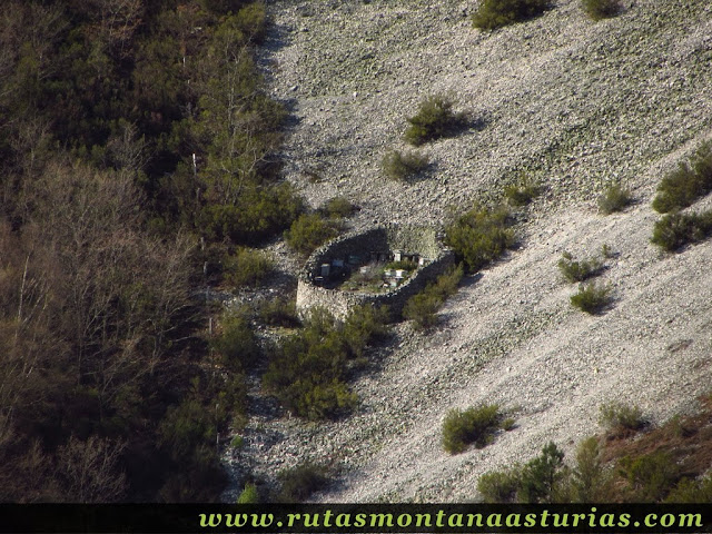 Corro con panales de abejas en Allande