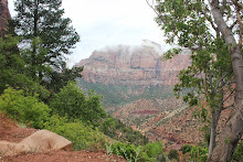 "Zion National Park"