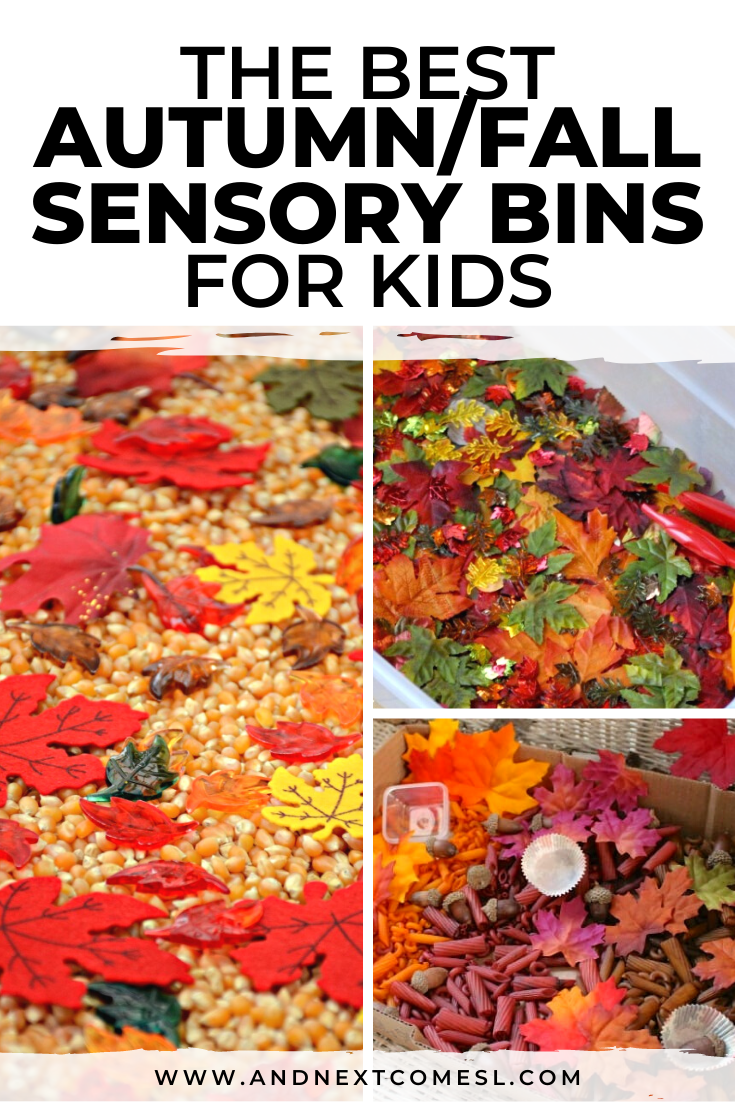 25 Awesome Fall Sensory Bins for Kids And Next Comes L Hyperlexia