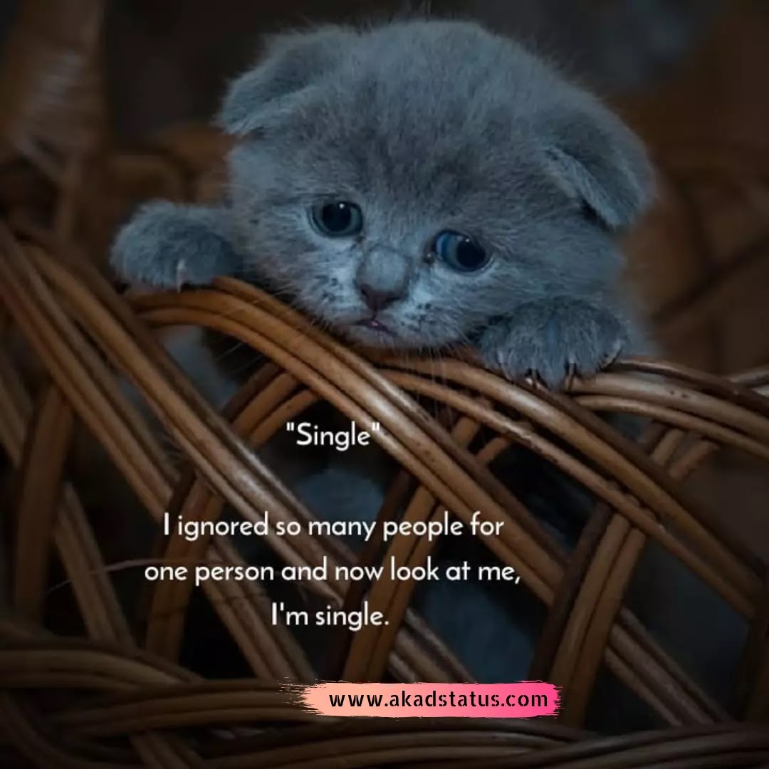 Sad quotes, sad quotes Images, sad love quotes, sad Images, sad insta dp Images, sad images for Facebook, sad Images for whatsapp,Sad dp Images