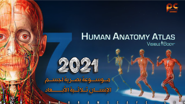 إذا كنت تعمل أو تدرس في مجال الطب والتمريض فأنت بحاجة لهذا البرنامج | Human Anatomy Atlas v7.4.0.1
