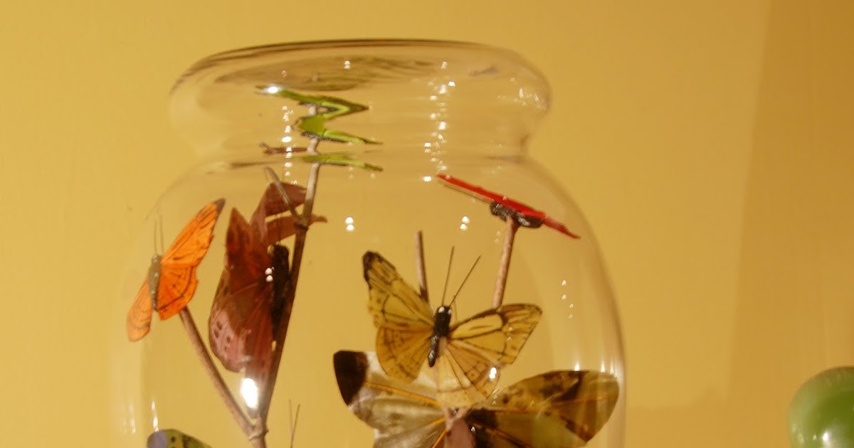 Mark Montano Butterflies Under Glass