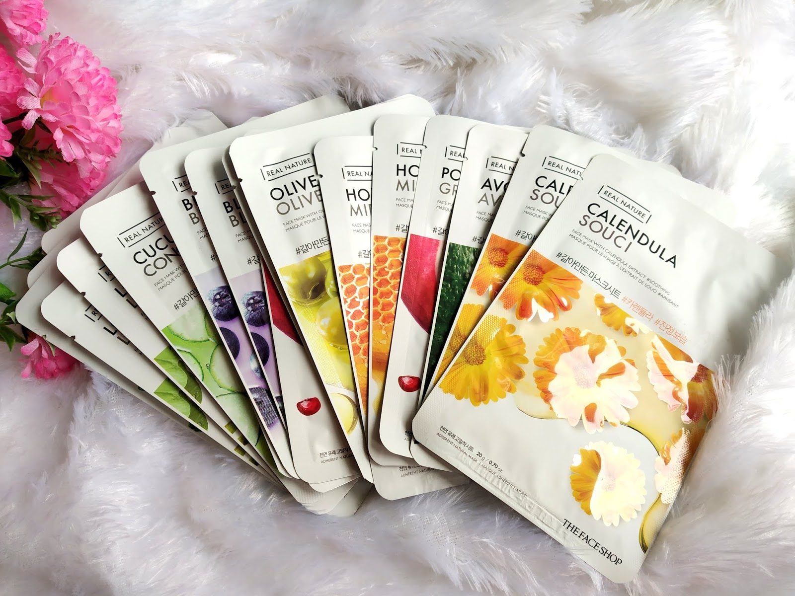 Hydrangea Vanille Fraise Jpg Hydrangea Wallpaper