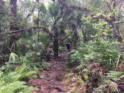 hiking trail at the Oxbow Eco-Center