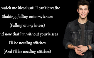 Lirik Lagu Terjemahaan STITCHES - Shawn Mendes
