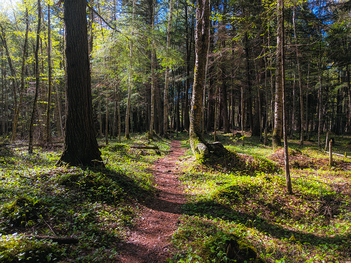 Hiking the Ice Age Trail Jerry Lake Segment