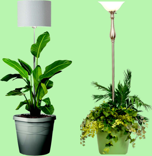 Floor lamps near me deals