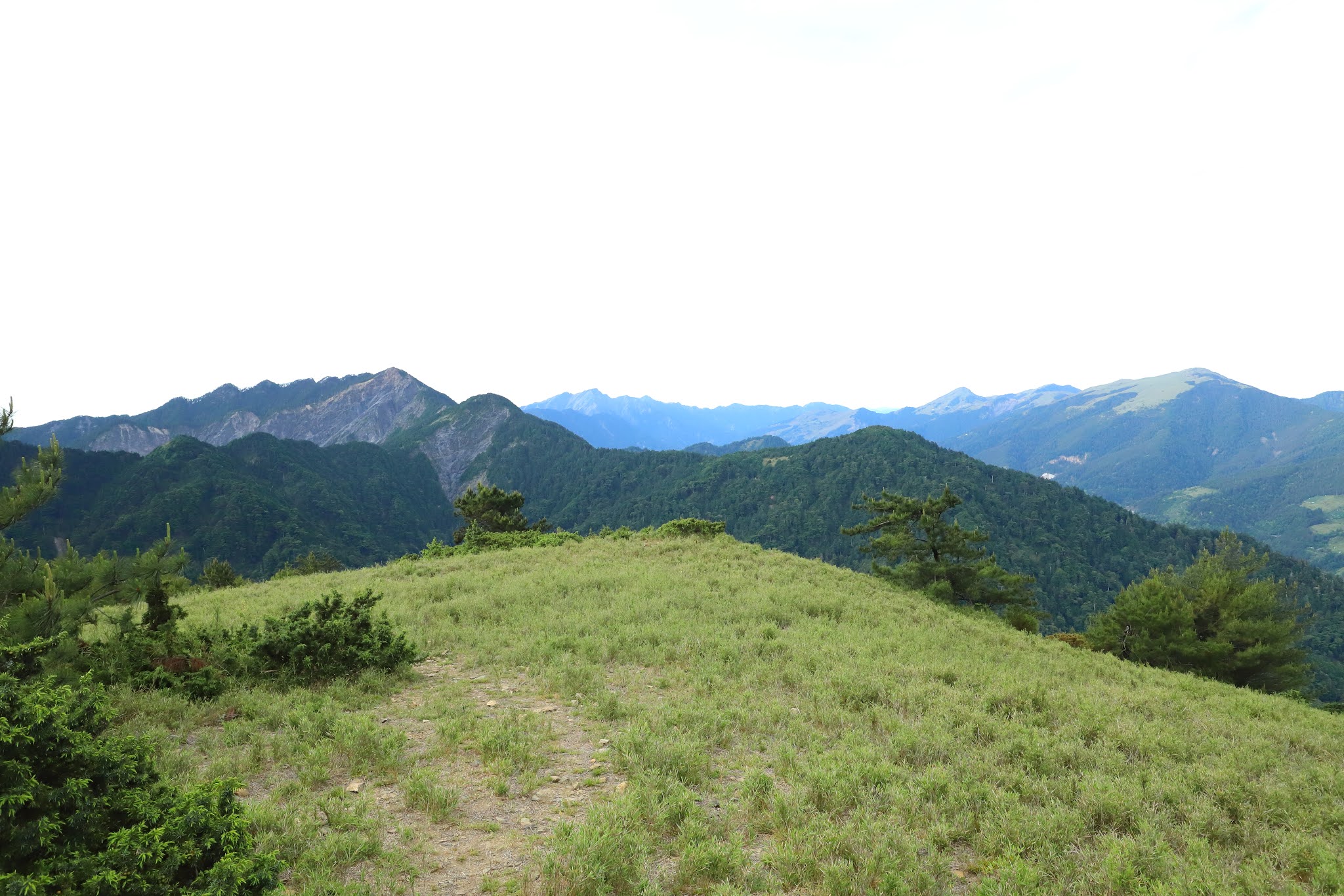 望向畢祿山