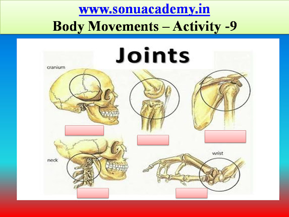 SONU ACADEMY: BODY MOVEMENTS- ACTIVITIES (CLASS-VI) CBSE