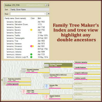 Color dots in the index and color bars in the tree view tell me which branch, or branches, an ancestors belongs to.