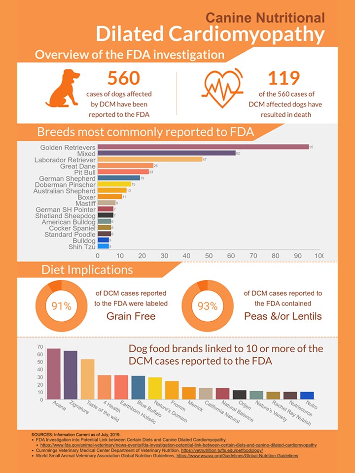 cockapoo mixed with toy poodle