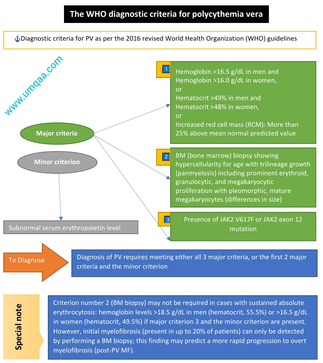 What are the diagnostic criteria for polycythaemia vera (PV)?