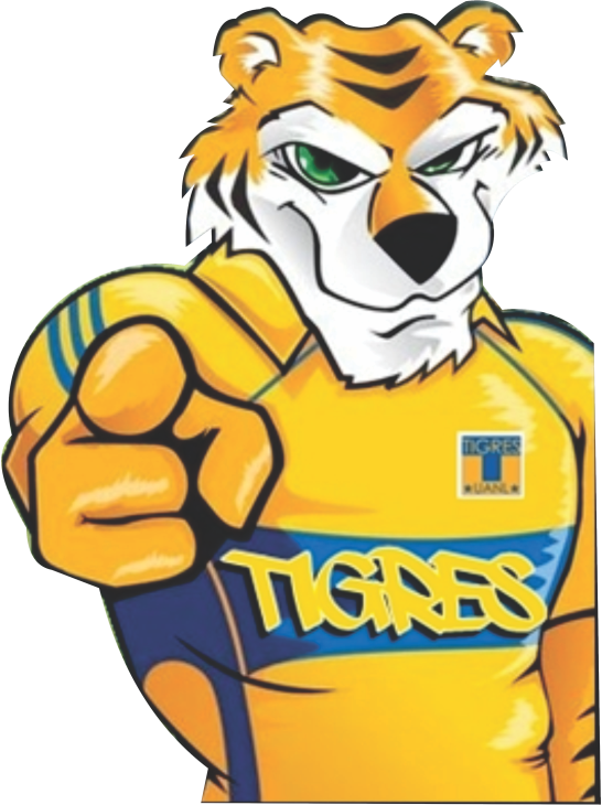 ANOTANDO FÚTBOL * TIGRES * PARTE 3 ANOTANDO FÚTBOL * TIGRES * PARTE 3
