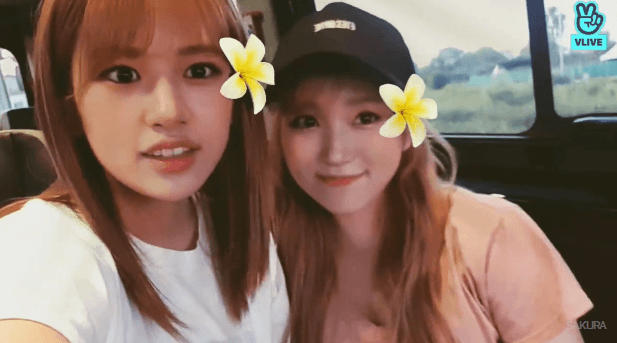 (아이즈원) 안유진 & 나코 브이앱 필터 모음