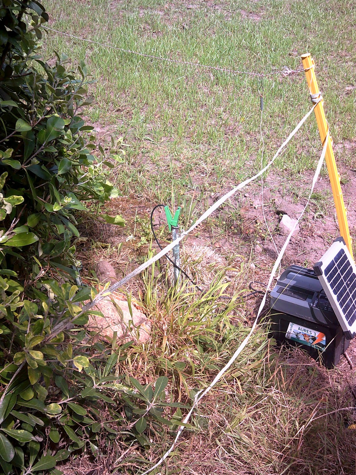 wigton physics Earthing an electric fence