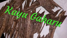 √ [AMPUH] Khasiat Kayu Gaharu Dalam Dunia Spiritual