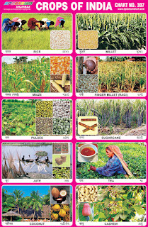 Crops of India Chart