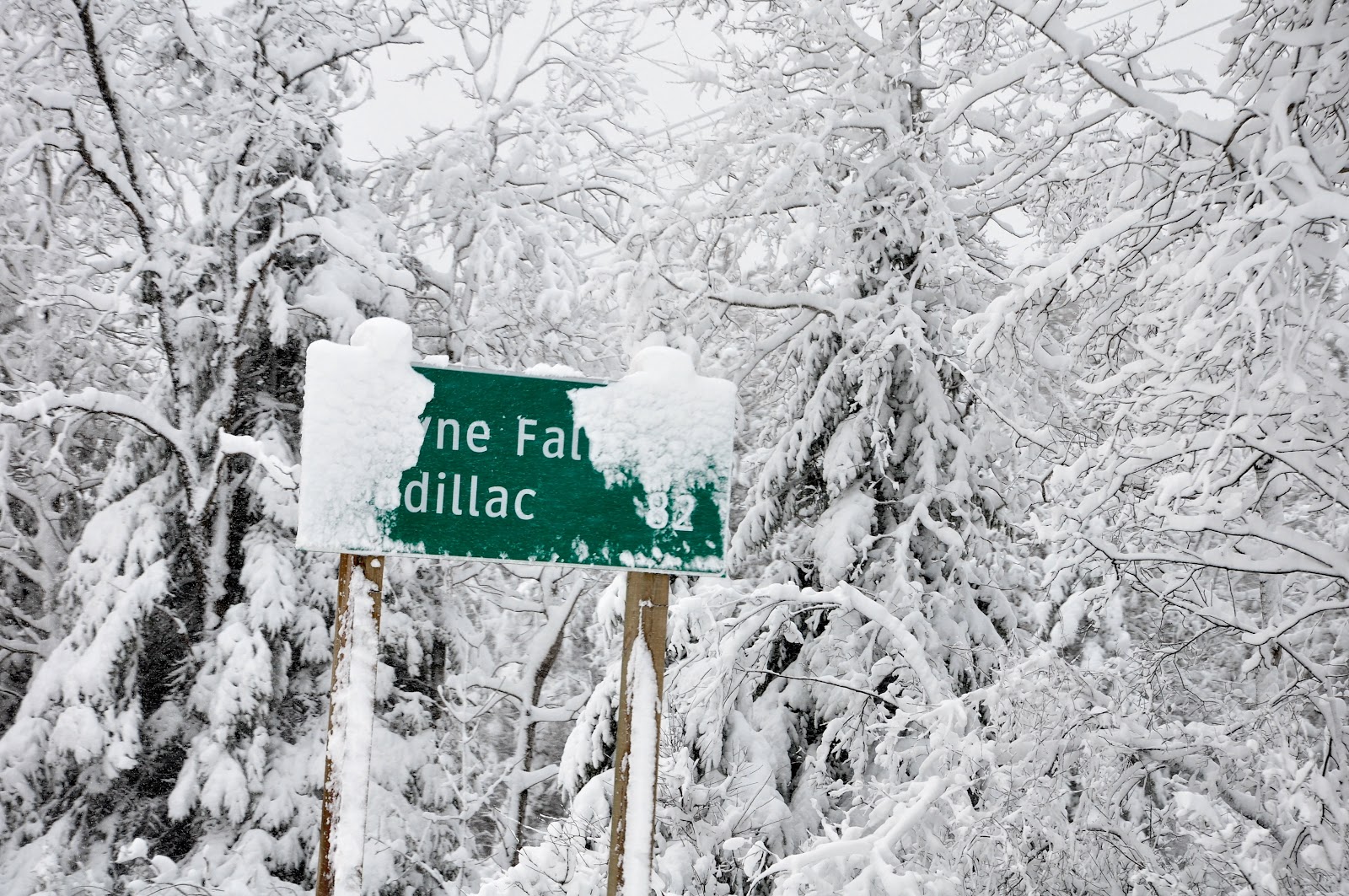 In the Pines Northern Michigan Snow Storm