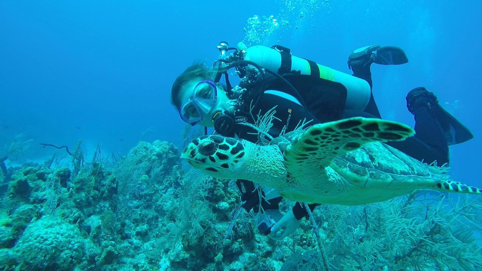 Katie Wanders Scuba Diving on Grand Cayman (recap)
