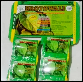 jual kapsul daun brotowali surya bintang putra di jawatimur, banyuwangi, jember, probolinggo, lumajang, pasuruan, sidoarjo, madura, lamongan, gresik, bojonegoro, tuban, ponorogo, malang, blitar, kediri, nganjuk, madiun, magetan, pacitan, trenggalek, tulungagung, bali, badung, buleleng, gianyar, denpasar, jembrana, karangasem, jawatengah, semarang, purwodadi, klaten, banyumas cilacap, purwokerto, banjar negara, kebumen, demak, kudus pati, juwono, rembang, jogjakarta, magelang, purbalingga, solo, sragen, surakarta, kartosuro, kendal, pekalongan, tegal, brebes, jawa barat, jakarta, bandung, tasikmalaya, sukabumi , cirebon, indramayu, pandanaran, tangerang , serpong, serang, cilegon, banten, ntb, woha, dompu, mataram, bima, lombok, ntt, kupang, alor, manggarai, lembata, nagekeo, sabu raijua, ngada, sikka, timor, rote ndao, belu, sumba barat, sumba tengah, ende, flores, sumatera, jambi, bandar lampung, palembang, padang, bukit tinggi, bengkulu, pekanbaru, dumai, tanjungbalai, riau, batam, tanjungpinang, medan, pematang siantar aceh, banda aceh, kalimantan, banjarmasin, banjarbaru, pontianak, singkawang, bontang, tarakan, palangkaraya, samarinda, balikpapan, batulicin, tanjung selor, sulawesi, makasar, ambon, maluku, palu, kendari, gorontalo, manado, bitung, palopo, bau bau, pare pare, kotamubagu, tomohon, minahasa, maluku, masohi, langgur, saumlaki, bula, namlea, piru, dobo, namrole, tiakur, papua, nabire, timika (mimika), merauke, biak, manokwari, sorong, enarotali (paniai), jayapura, abepura, wamena,