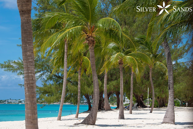 7-mile beach accommodation, 7-mile beach condos, beach vibes, beachsunsets, Cayman Islands Vacation Rentals, cayman staycation, Grand Cayman beach rentals, Silver Sands Condos, heather holt photography