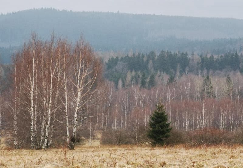 Domy przysłupowe, Antoniów, Izery, ZM