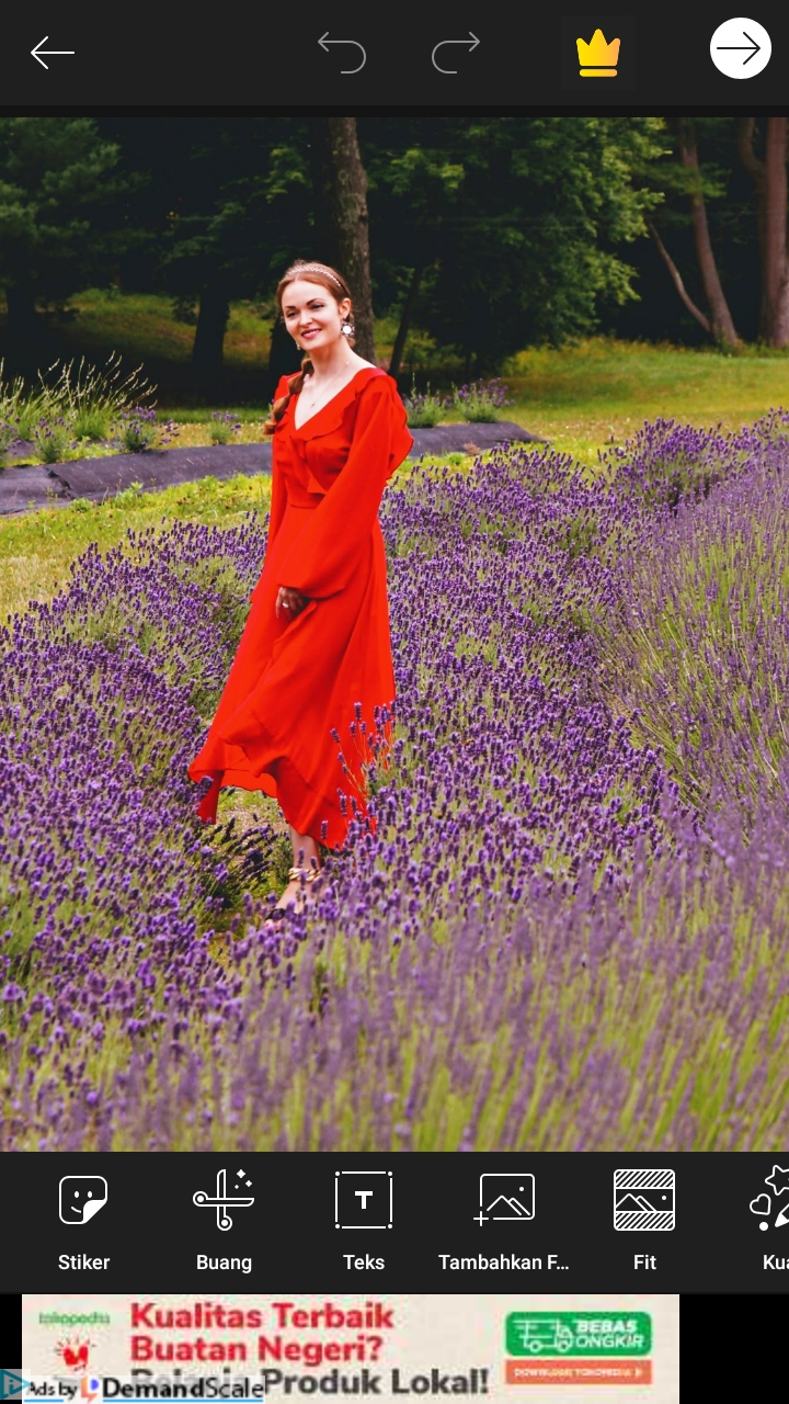 Cara Membuat Colour Palette (Picsart Tutorial