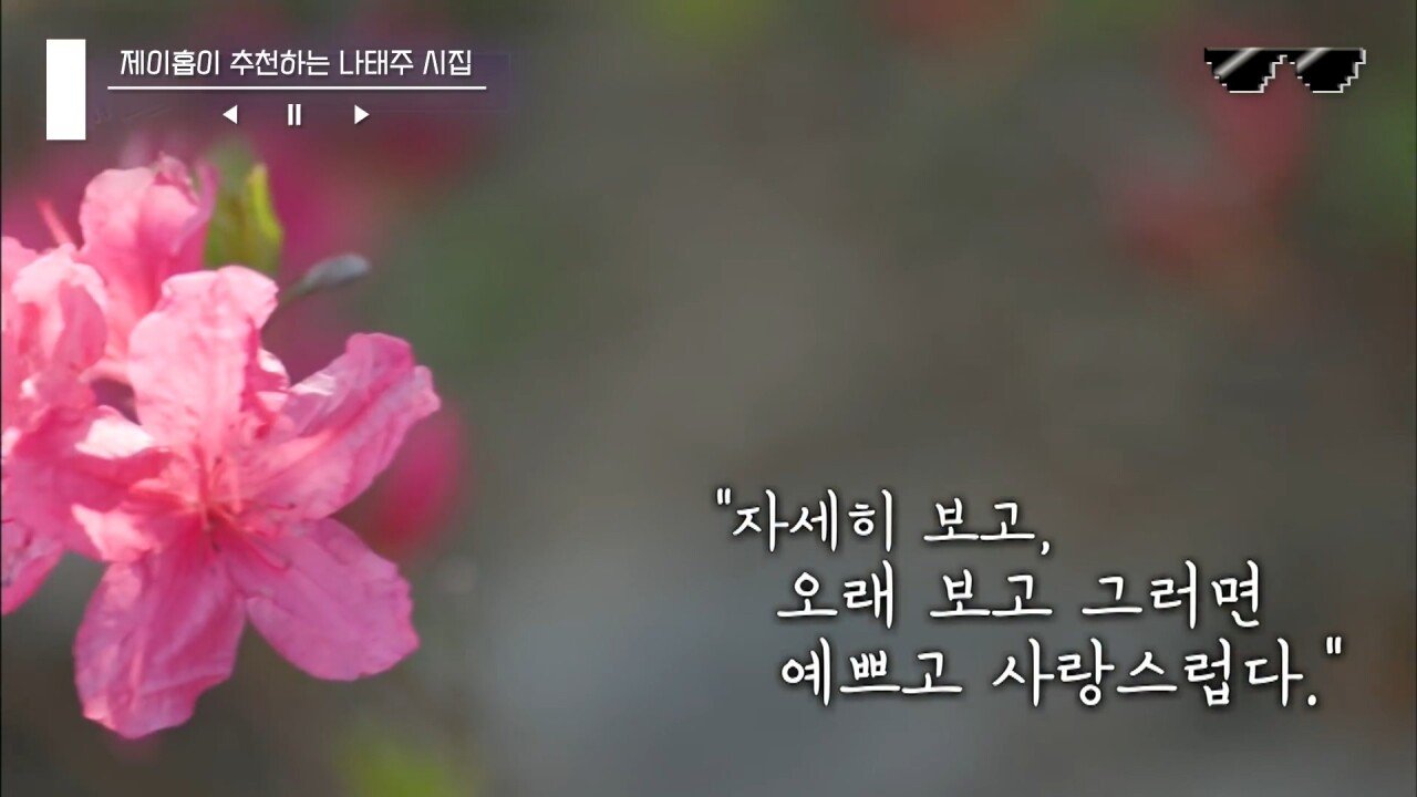 유퀴즈 '풀꽃' 시인 나태주 - 꾸르